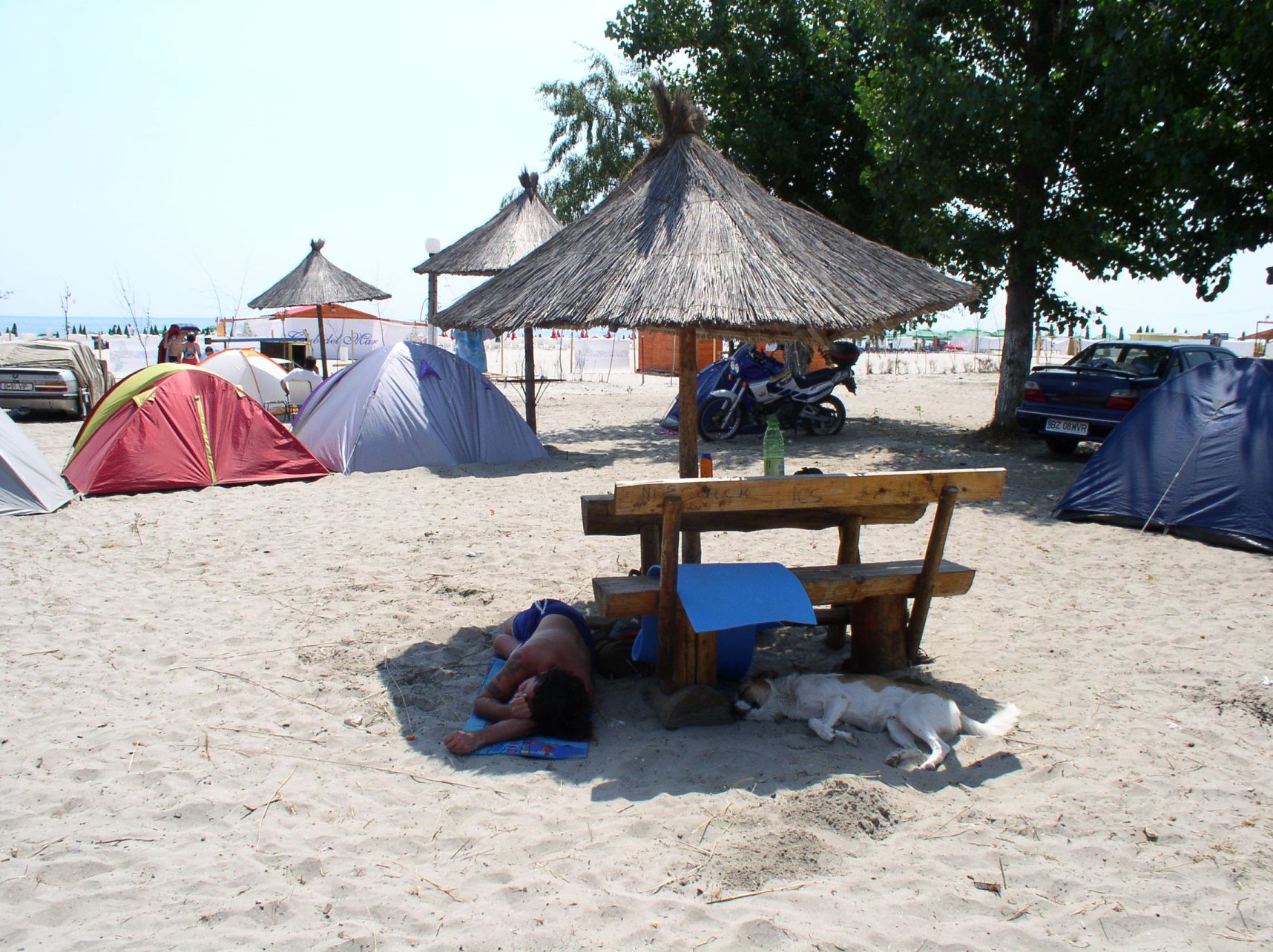 Mamaia